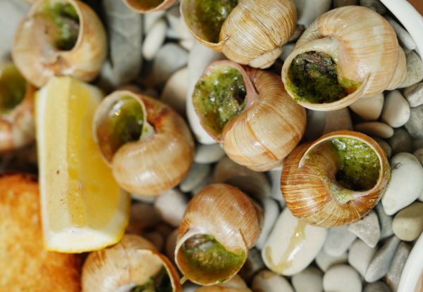 Nâng mũi ăn ốc được không? Những lưu ý bạn không nên bỏ qua ? 4 Biện pháp xử lý khi lỡ ăn ốc sau nâng mũi