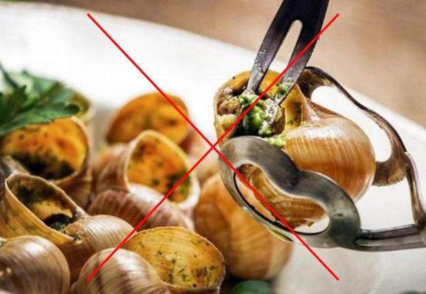 Nâng mũi ăn ốc được không? Những lưu ý bạn không nên bỏ qua ? 2 Không nên ăn ốc sau khi nâng mũi