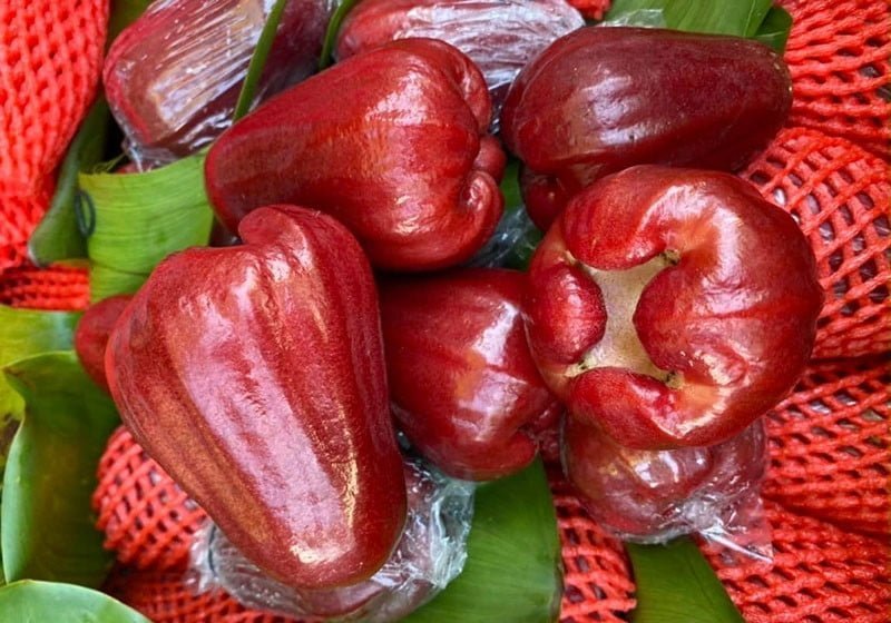 Nâng mũi ăn roi được không?