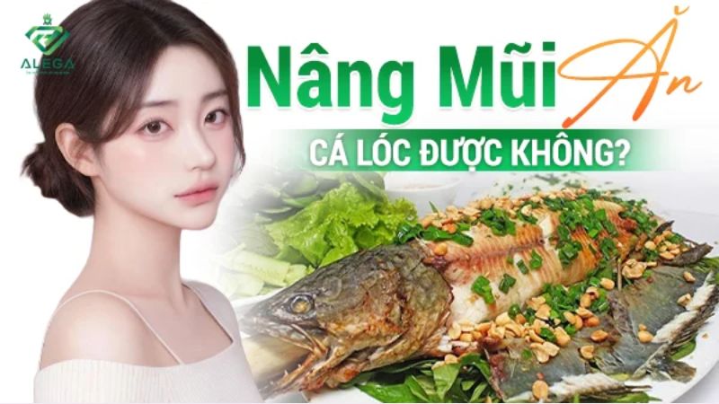 Nâng mũi ăn được cá lóc không? Góc giải đáp thắc mắc 13 Nang mui an duoc ca loc khong