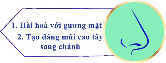 Nâng mũi bọc sụn 9 6